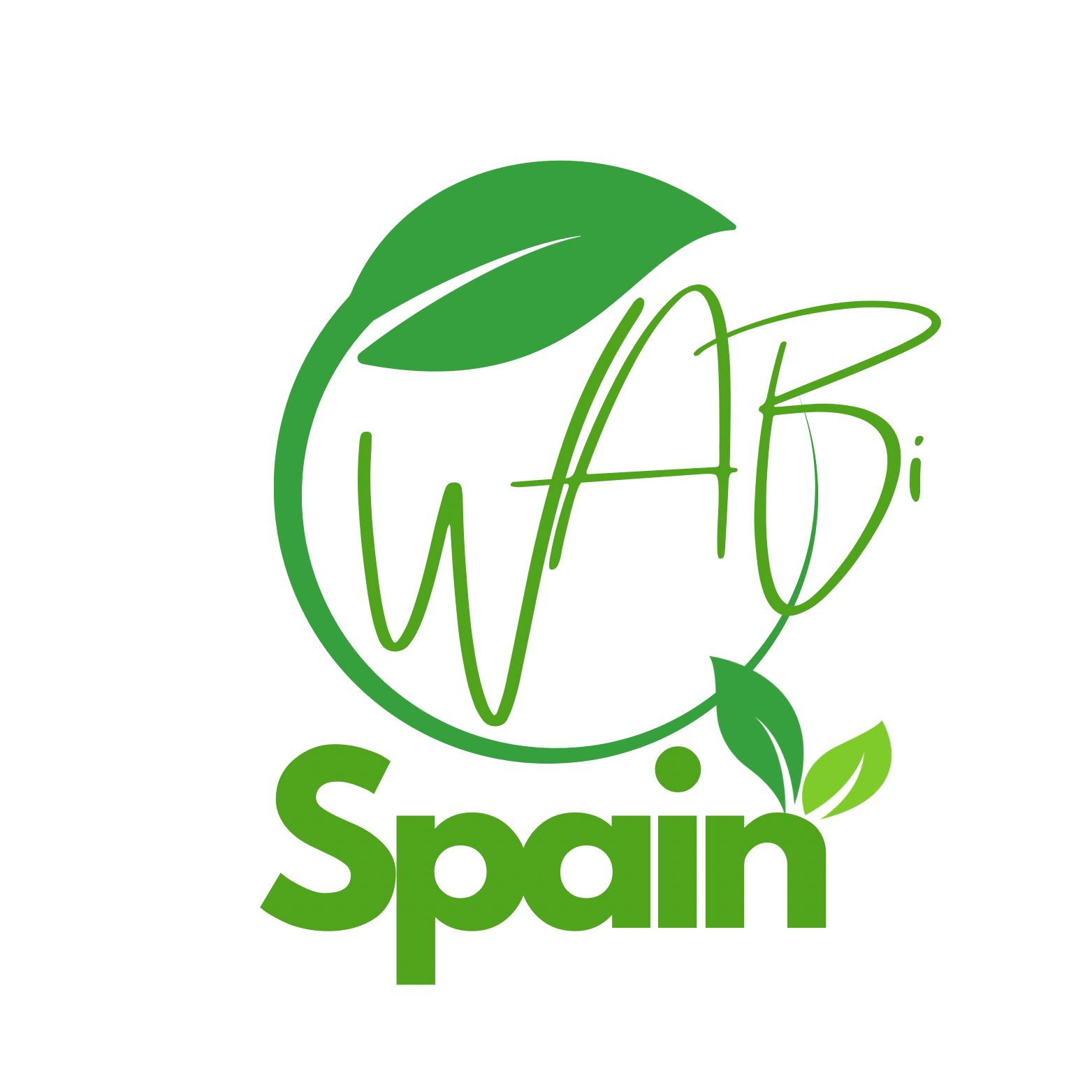 logo wabispain